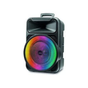 AUDIO